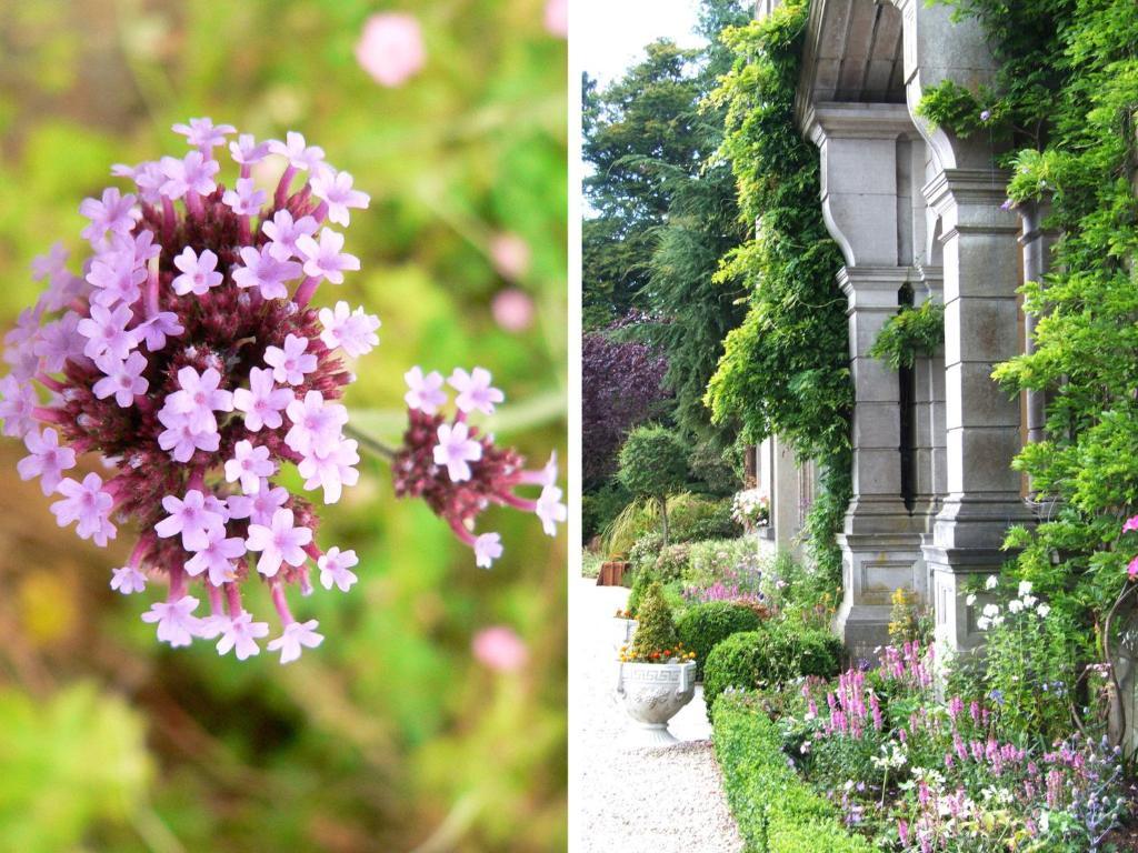 Tinakilly Country House Hotel Rathnew Buitenkant foto